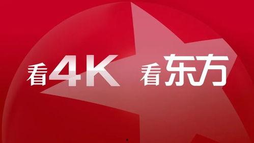 国产精品视,匠心独运,光影交织的艺术盛宴